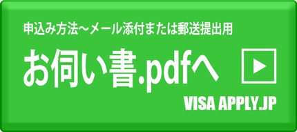 中国ビザ申請pdfボタン